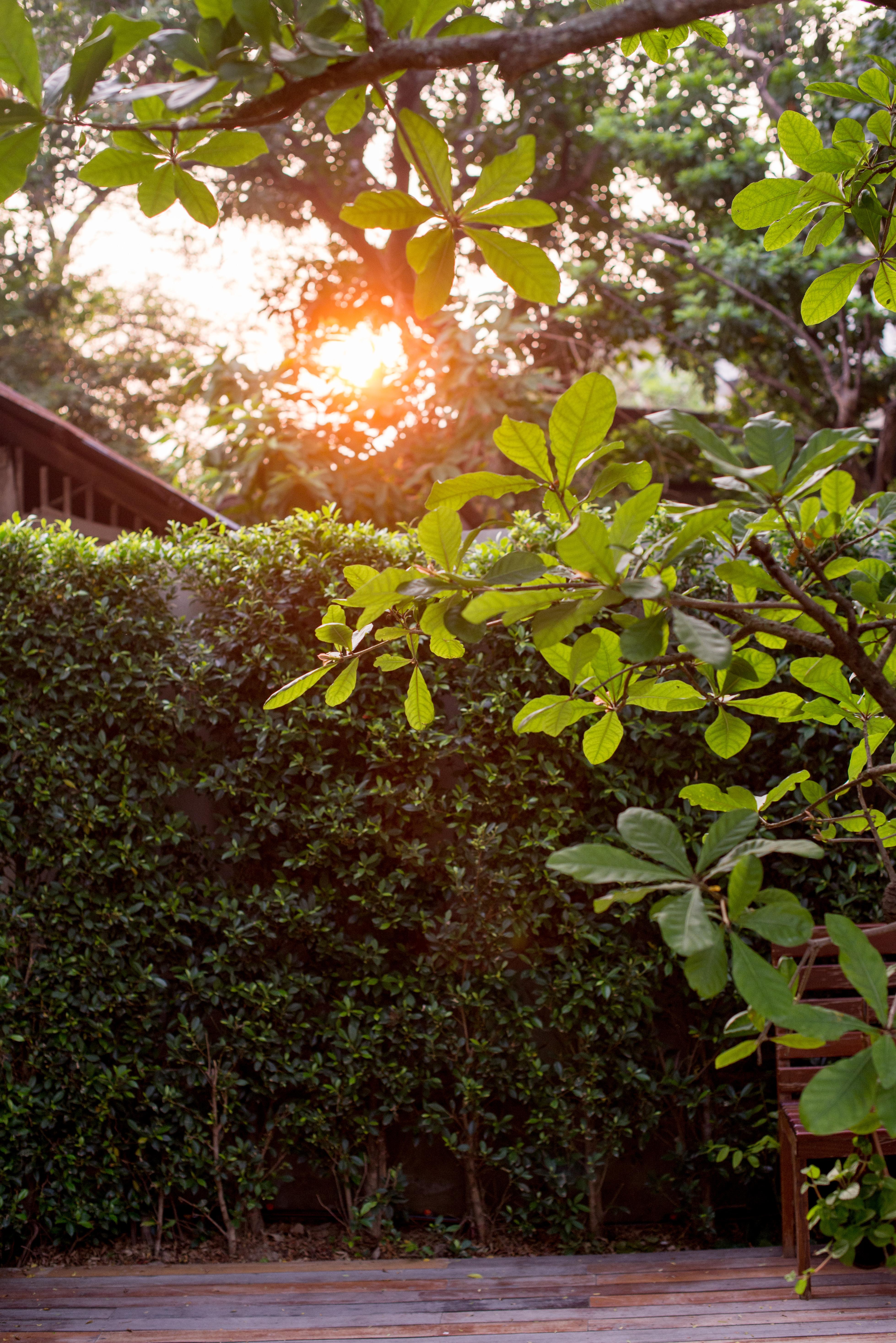 Chu Hotel Chiang Mai Exterior foto